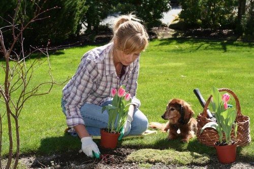 Inspector assessing a planting bed and shrubs