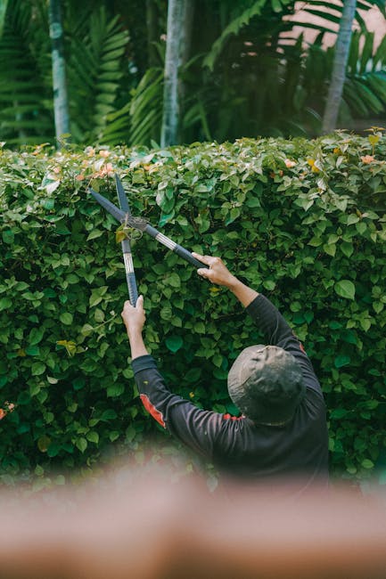A person pointing at a digital display board with multiple rows of availability statuses for garden maintenance appointments. The screen shows the words 'AVAILABLE' and 'NOT RESERVED' in white text ag